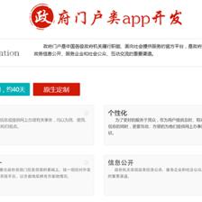 長(zhǎng)沙政府門戶原生APP網(wǎng)站建設(shè) 定制 網(wǎng)站制作APP開發(fā)制作